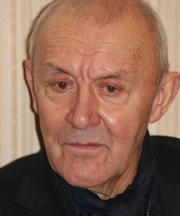 Аркадий Волгин фото