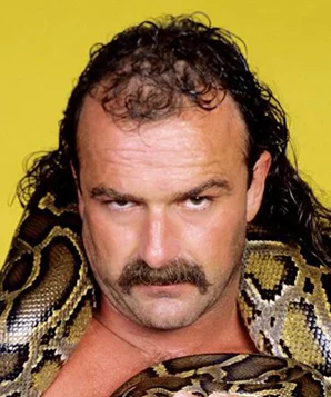 Джейк Робертс фото