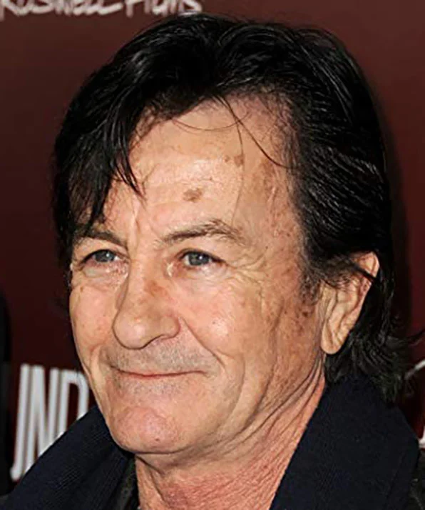 Винг Ли фото