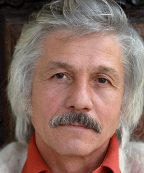 Михай Волонтир фото