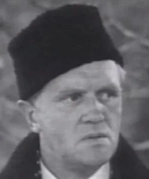 Свен Хьюго Борг фото