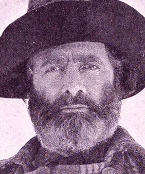 Том Мюррэй фото