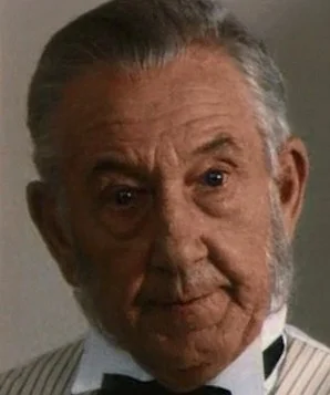 Вадим Вильский фото