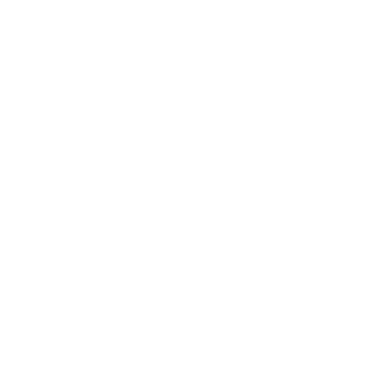 TV BRICS