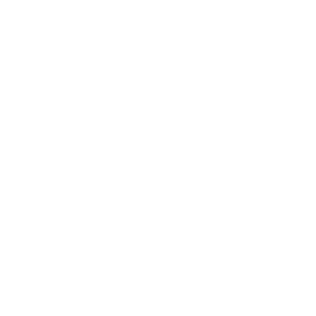 НТВ. Санкт-Петербург