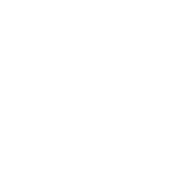 НТВ. Воронеж