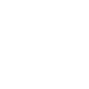 НТВ. Ростов-на-Дону