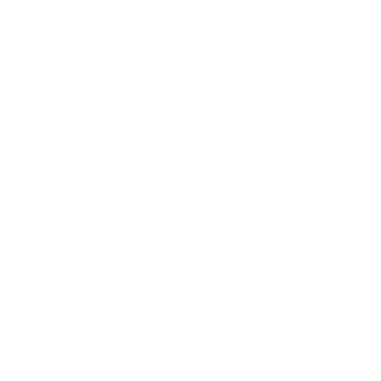 VESNA