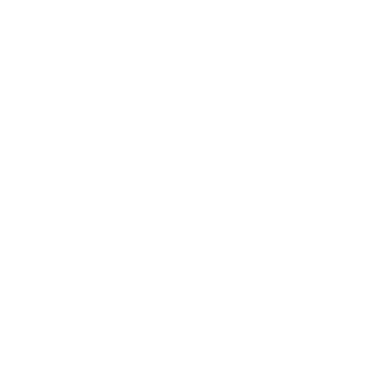 BRIDGE ЭТНО
