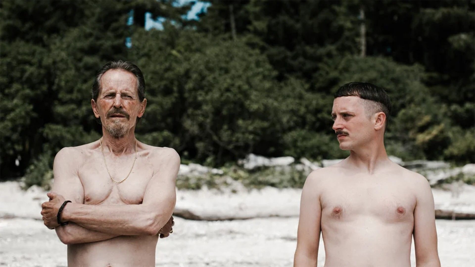 Иди к папочке