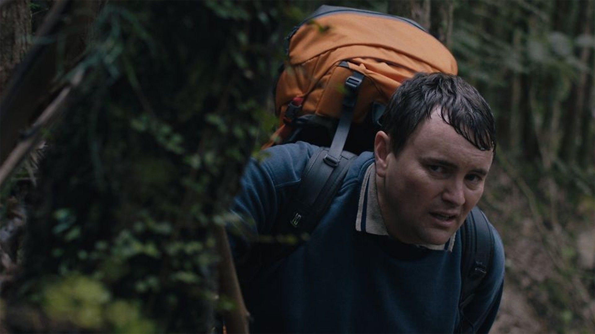 Таинственный лес