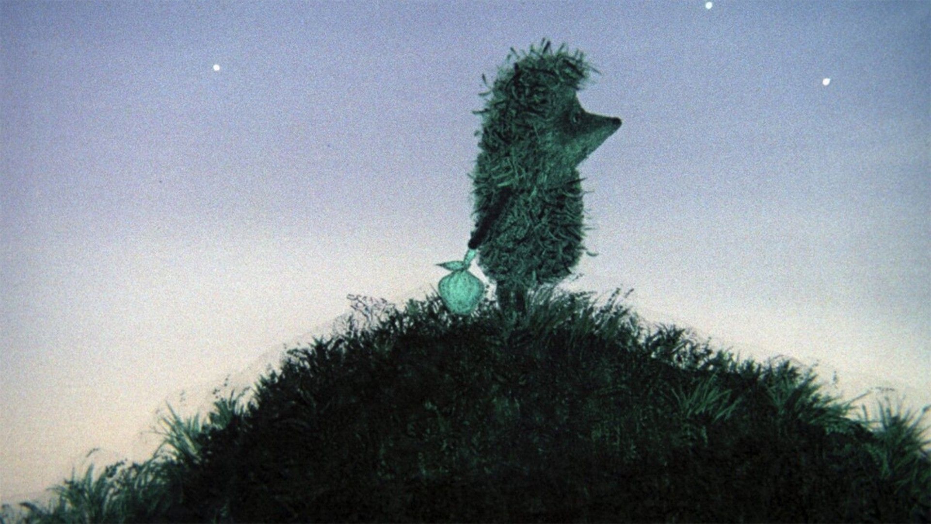 Ежик в тумане