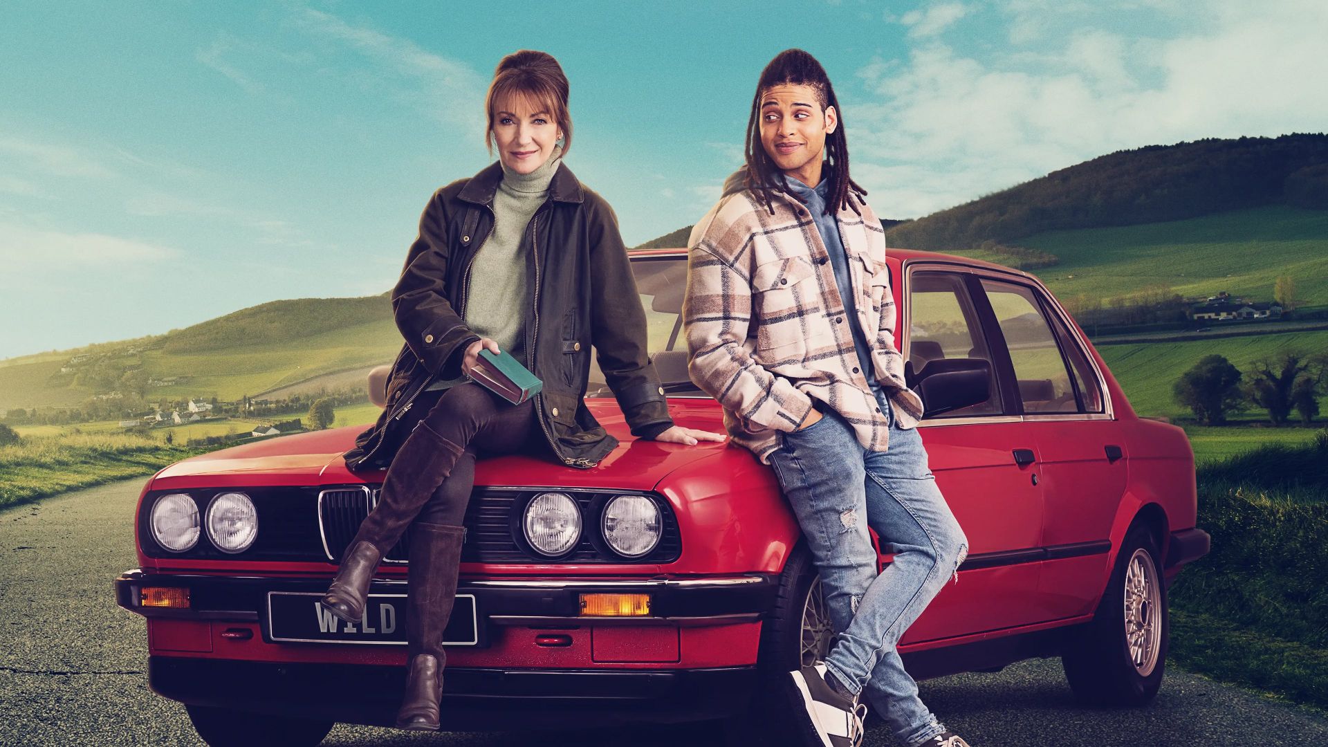 Гарри Уайлд. 4-я серия