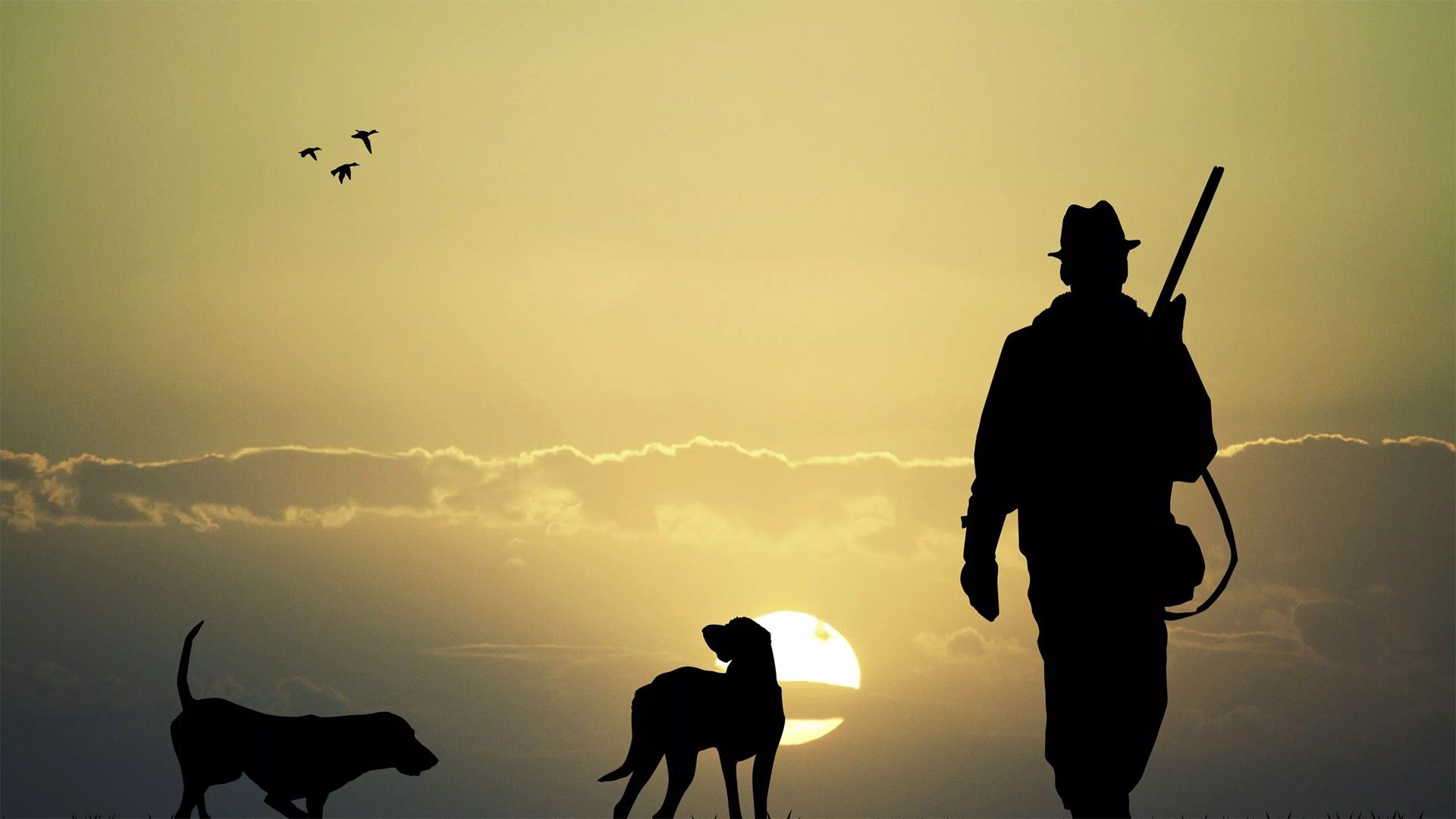 Мир стрелкового спорта. Универсальный стрелок-2024. Зелёная серия