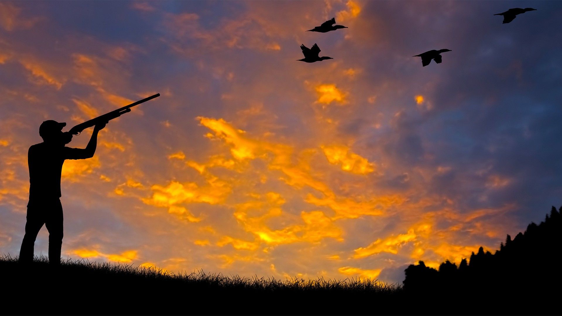 Мир стрелкового спорта. Универсальный стрелок-2024. Золотая серия