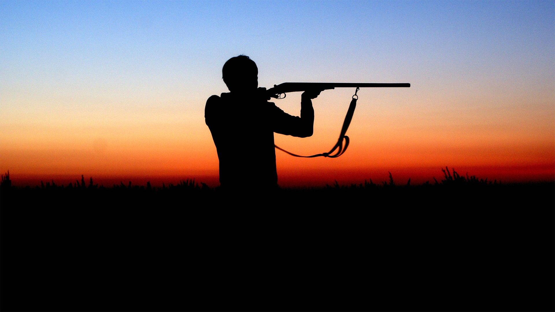 Мир стрелкового спорта. Универсальный стрелок-2024. Зелёная серия