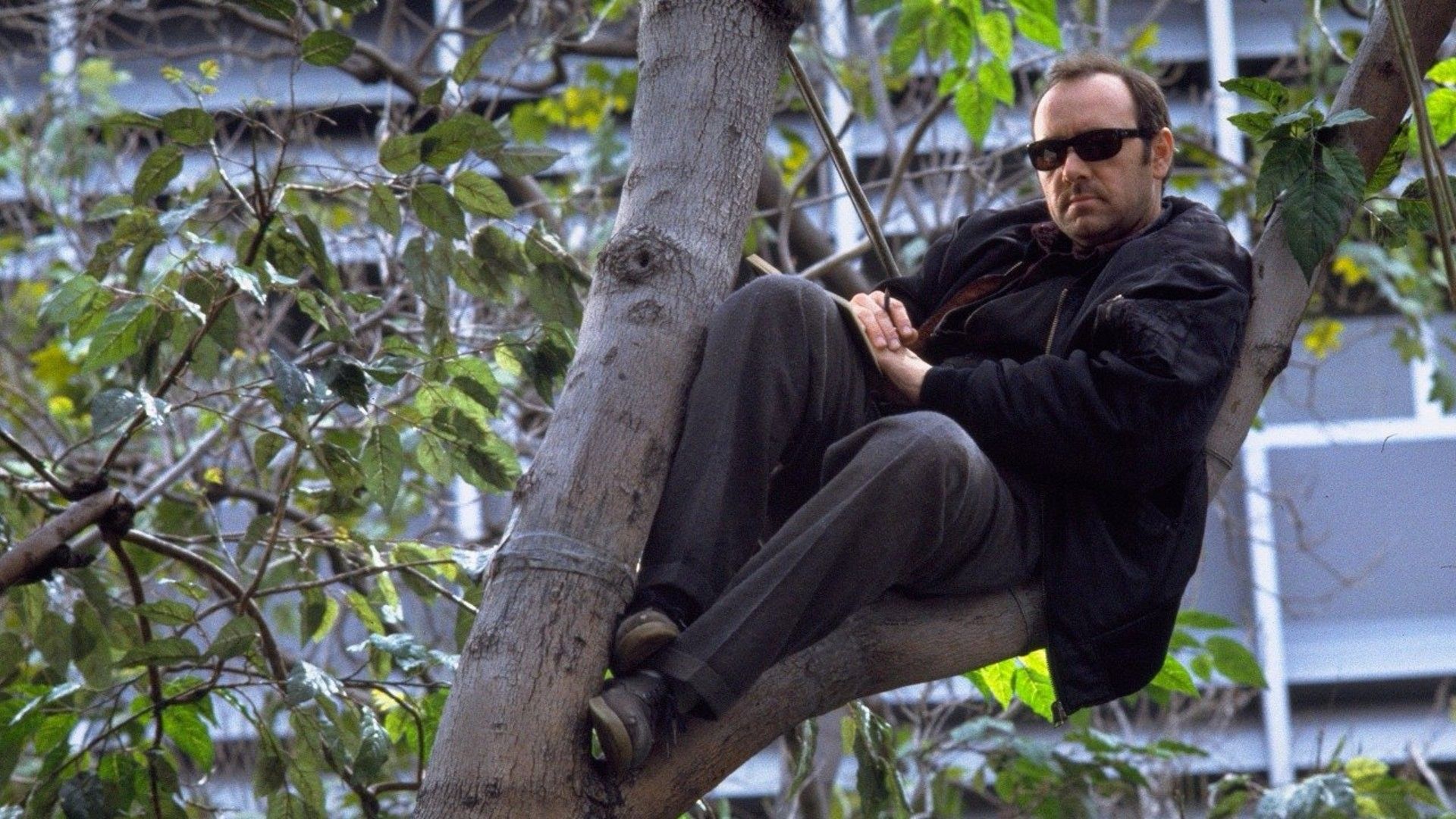 Планета Ка-Пэкс