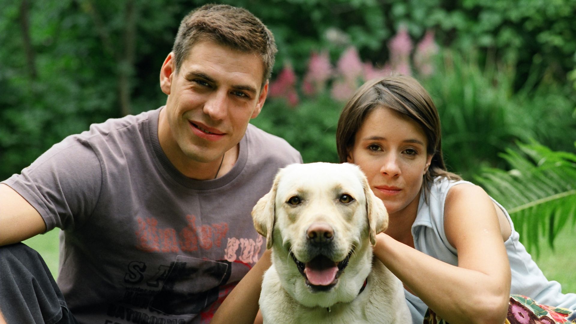 Исчезновение