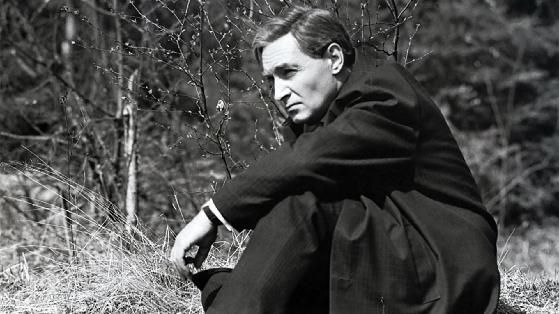 Семнадцать мгновений весны. 1-я - 12-я серии