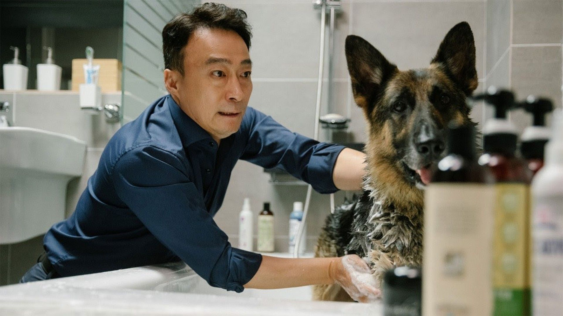 Спасти панду