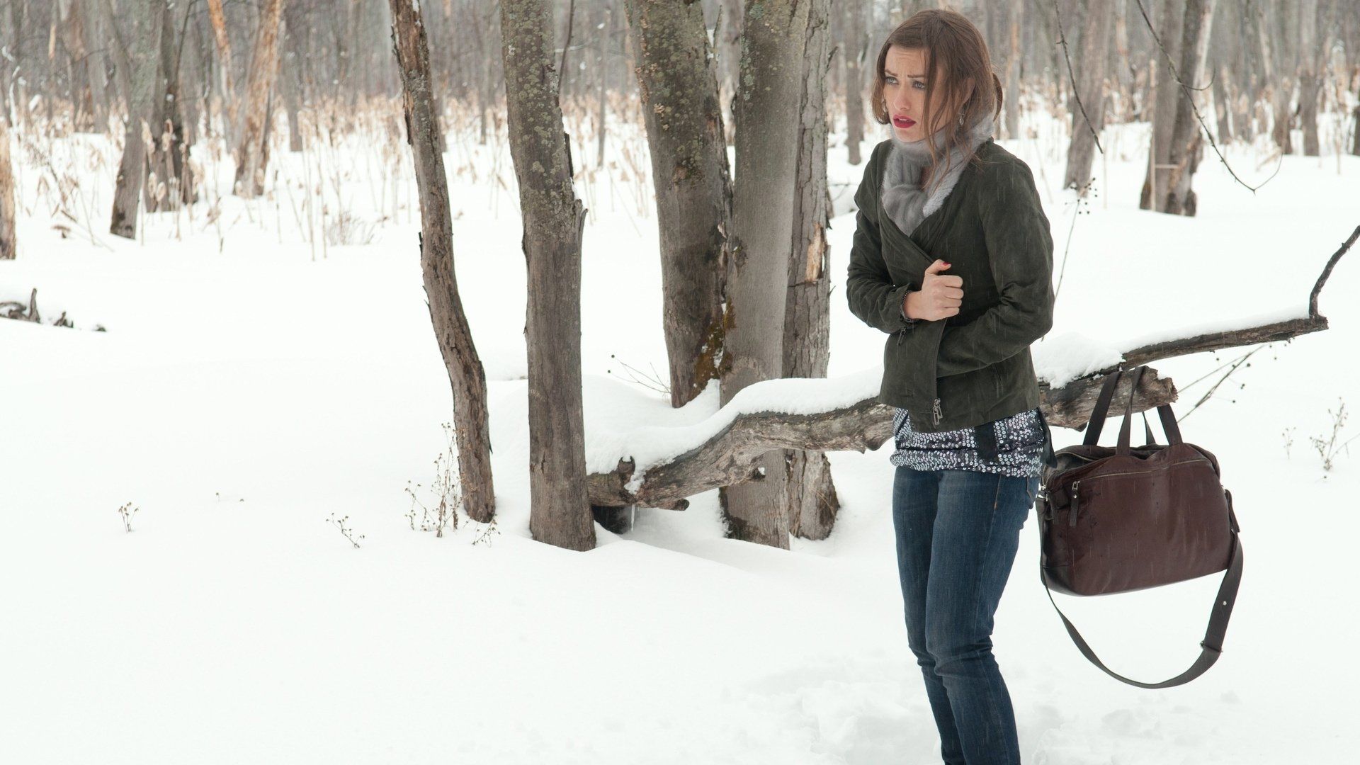 Чёрный дрозд