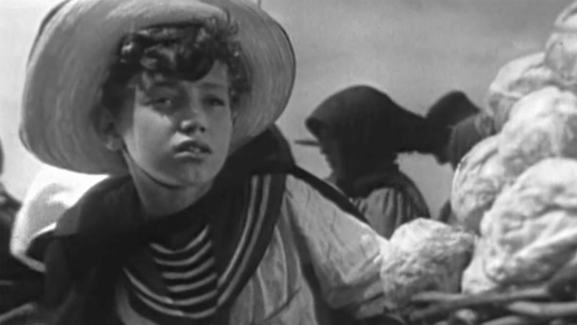 Белеет парус одинокий