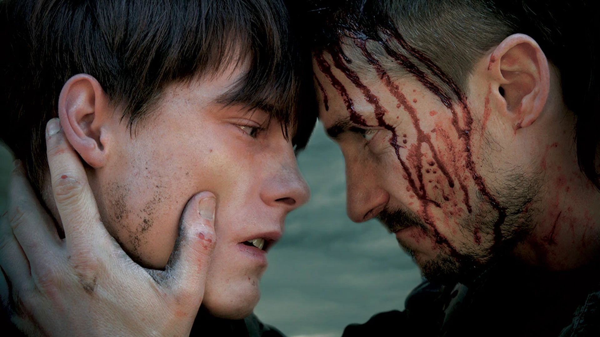 Чёрная муха