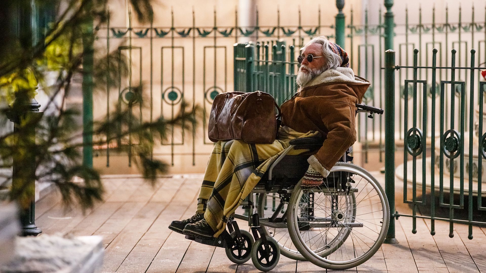 Ёлки-иголки