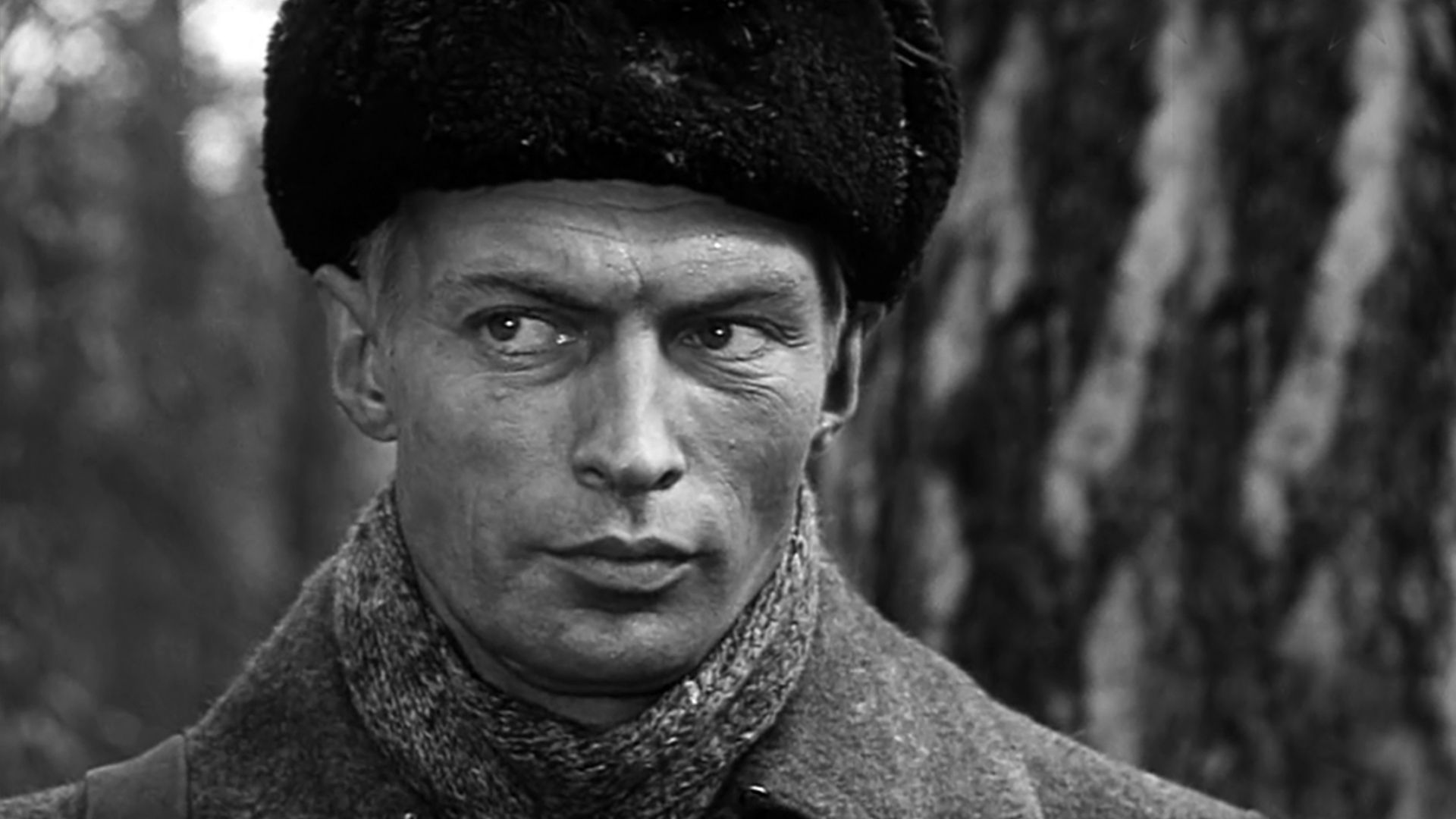 Обратной дороги нет. 2-я серия