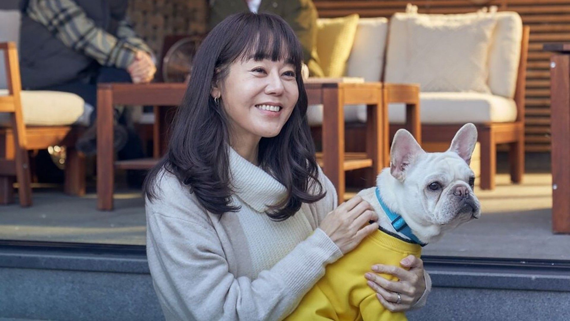 Хвостатый переполох