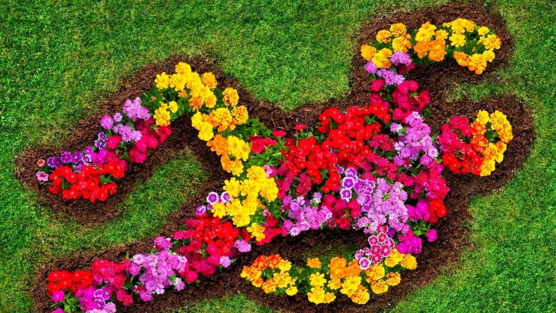 Почему женщины убивают. 1-я серия