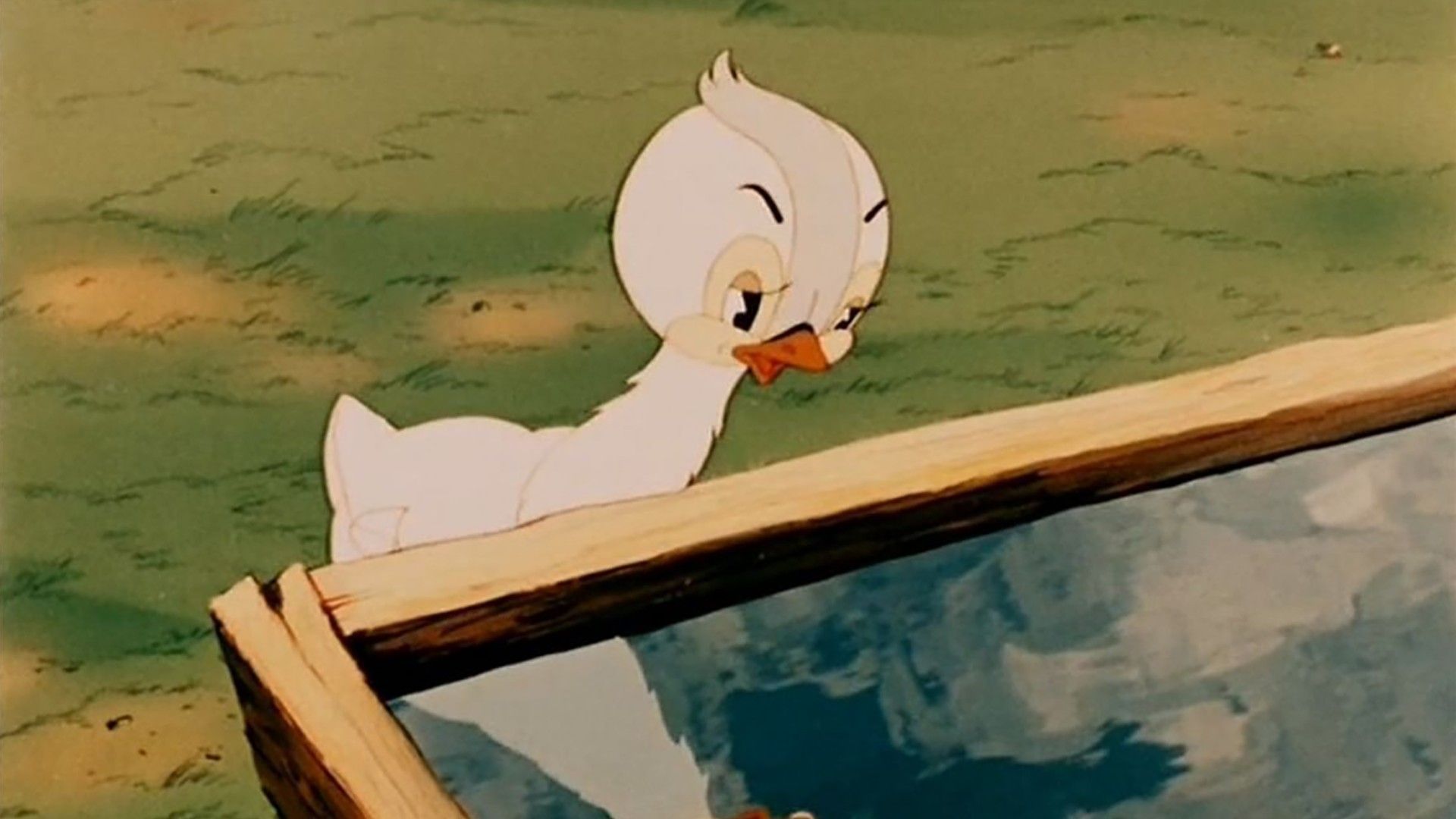 Гадкий утенок