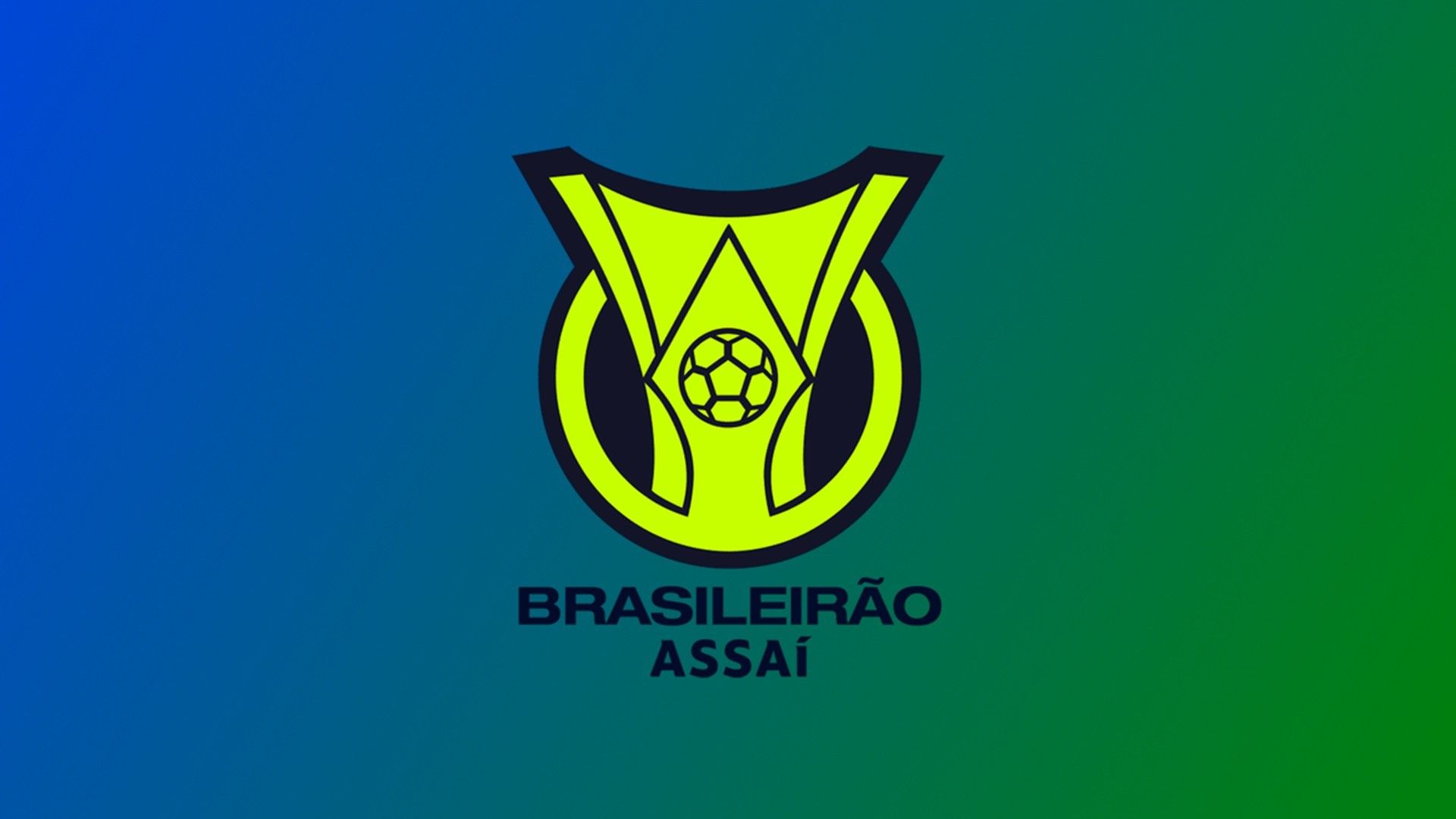 Чемпионат Бразилии. "Интернасьонал" - "Фламенго"