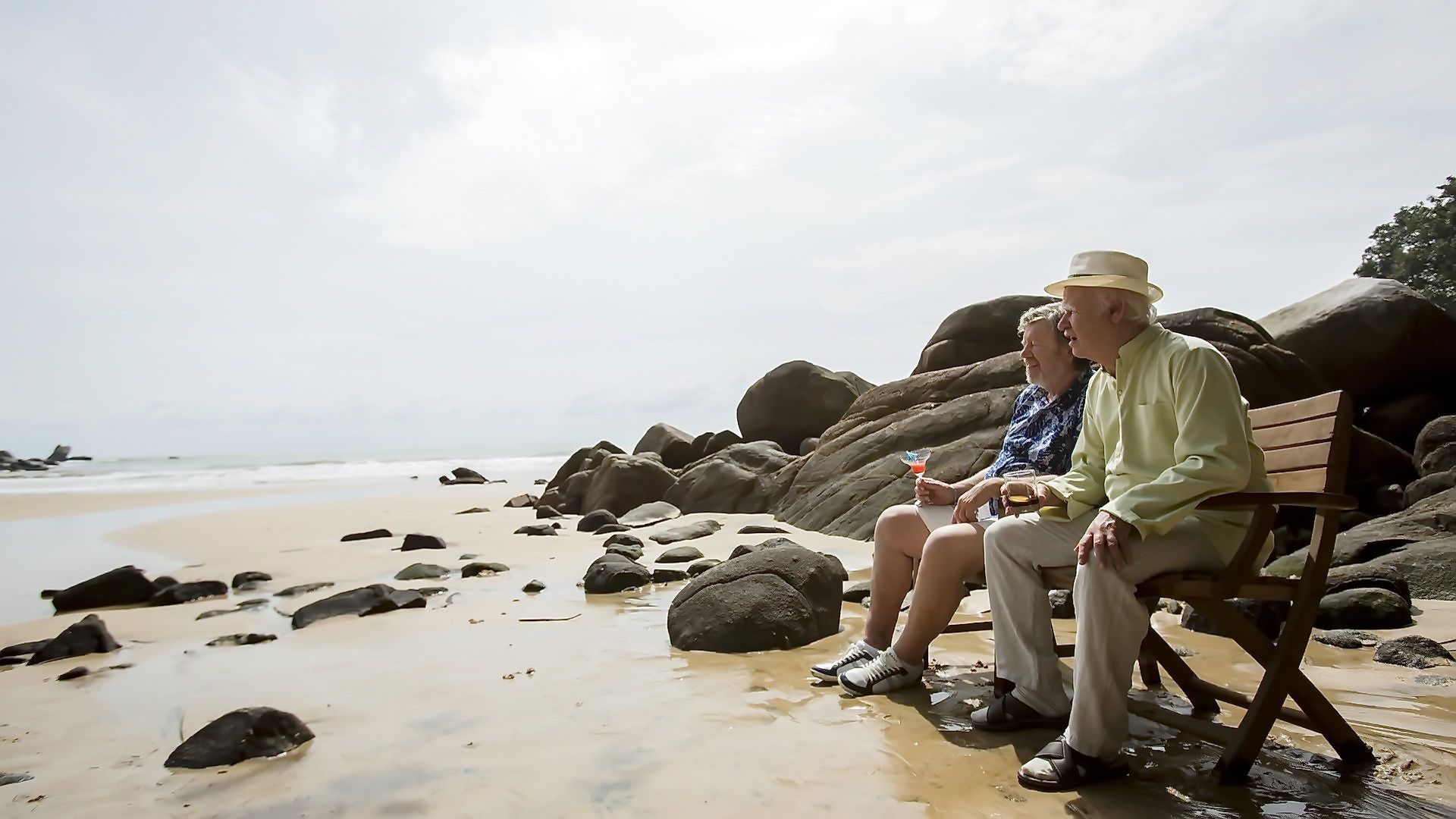 Столетний старик, который вылез в окно и исчез