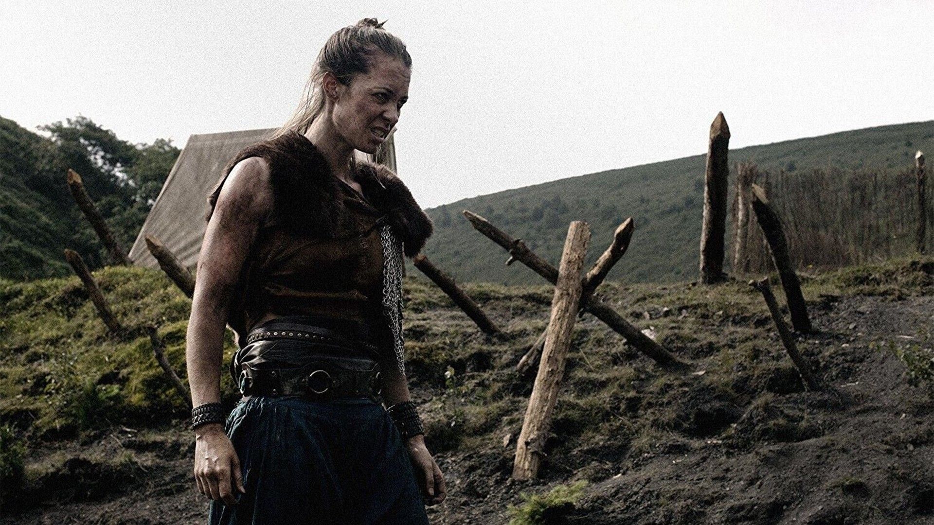 Последний викинг