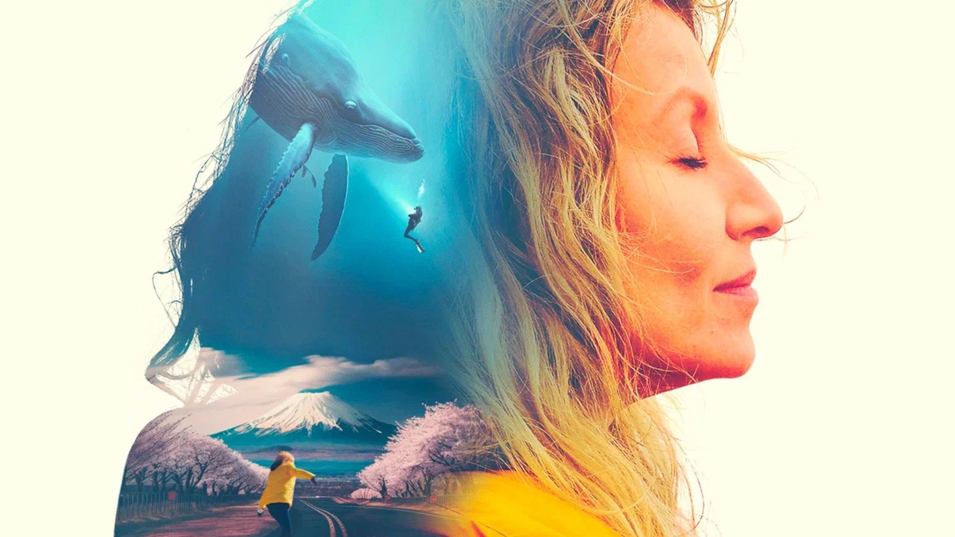 Комната чудес