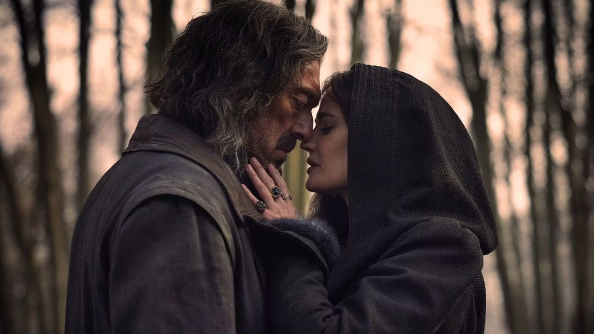 Три мушкетёра