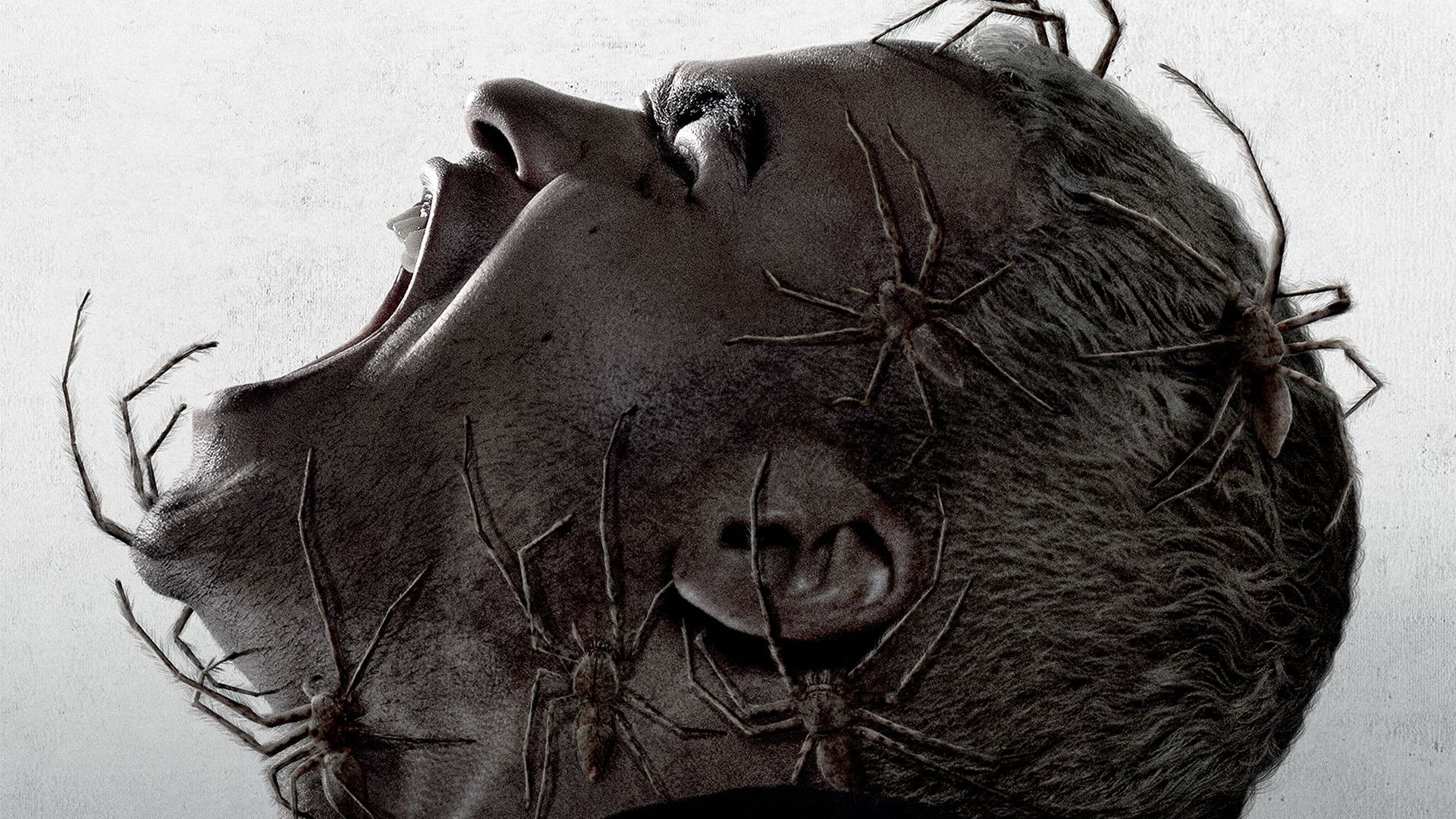 Паутина страха