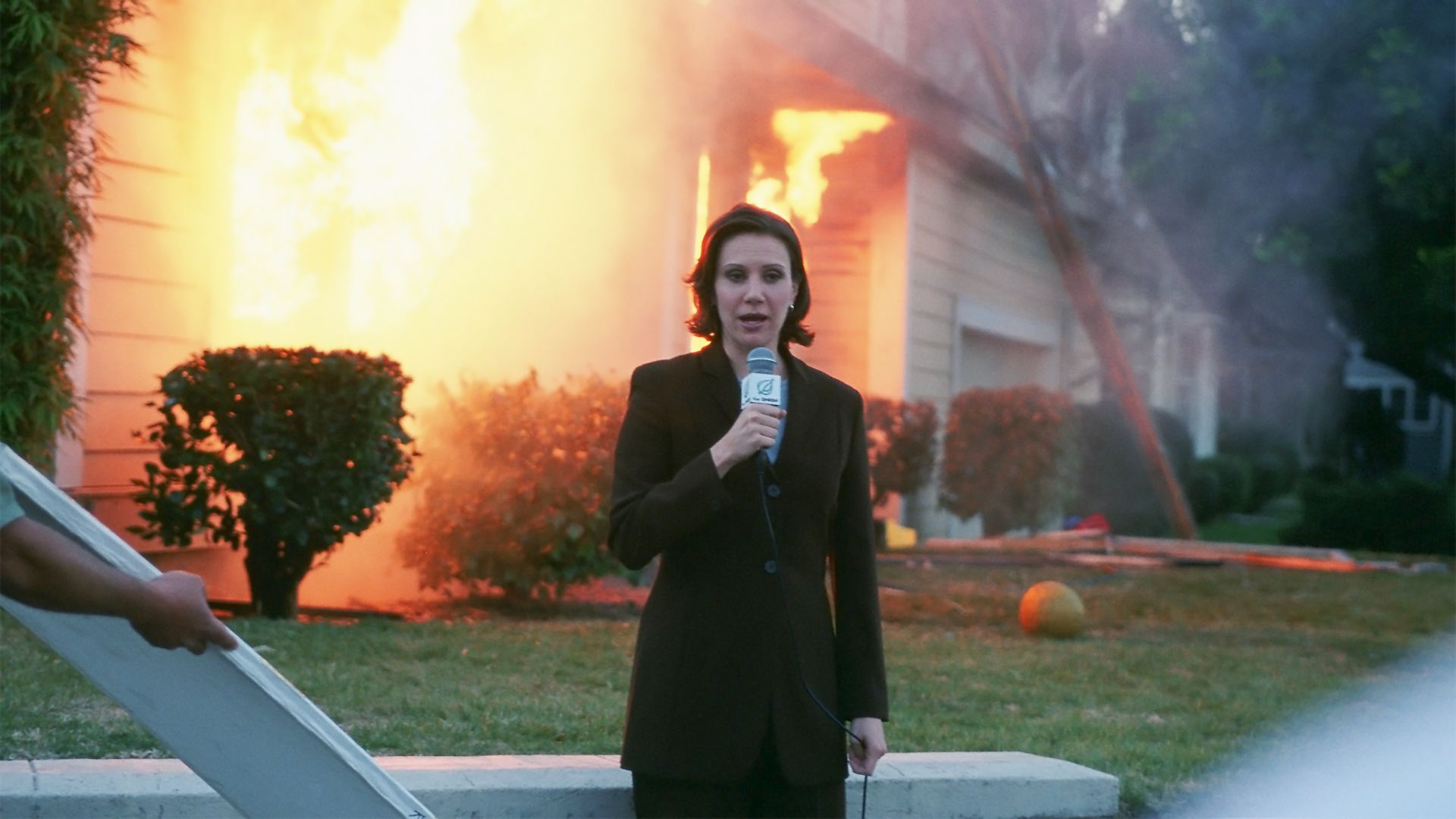 Луковые новости