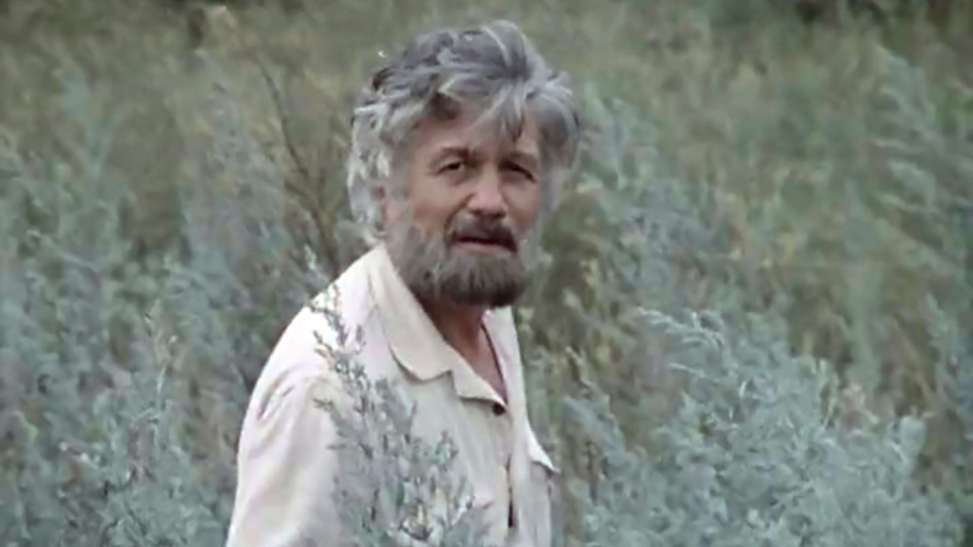 Возвращение Будулая. 1-я - 4-я серии