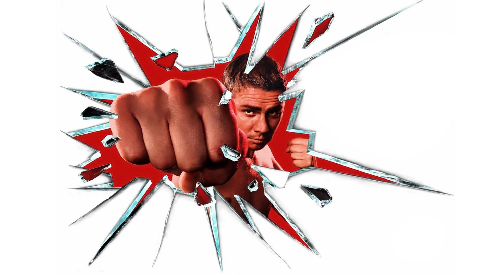 Бой с тенью-2: Реванш