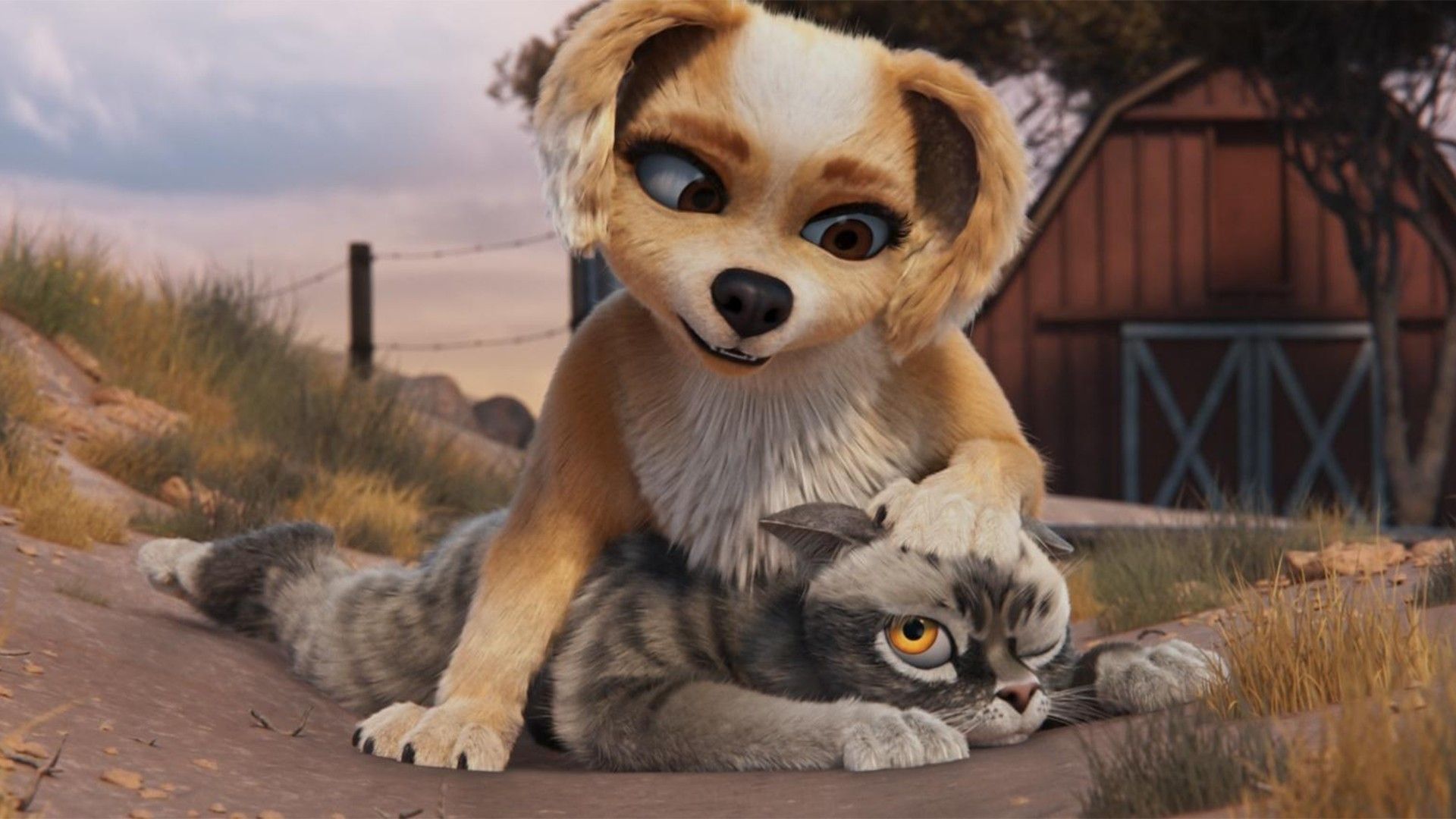 Пушистый вояж