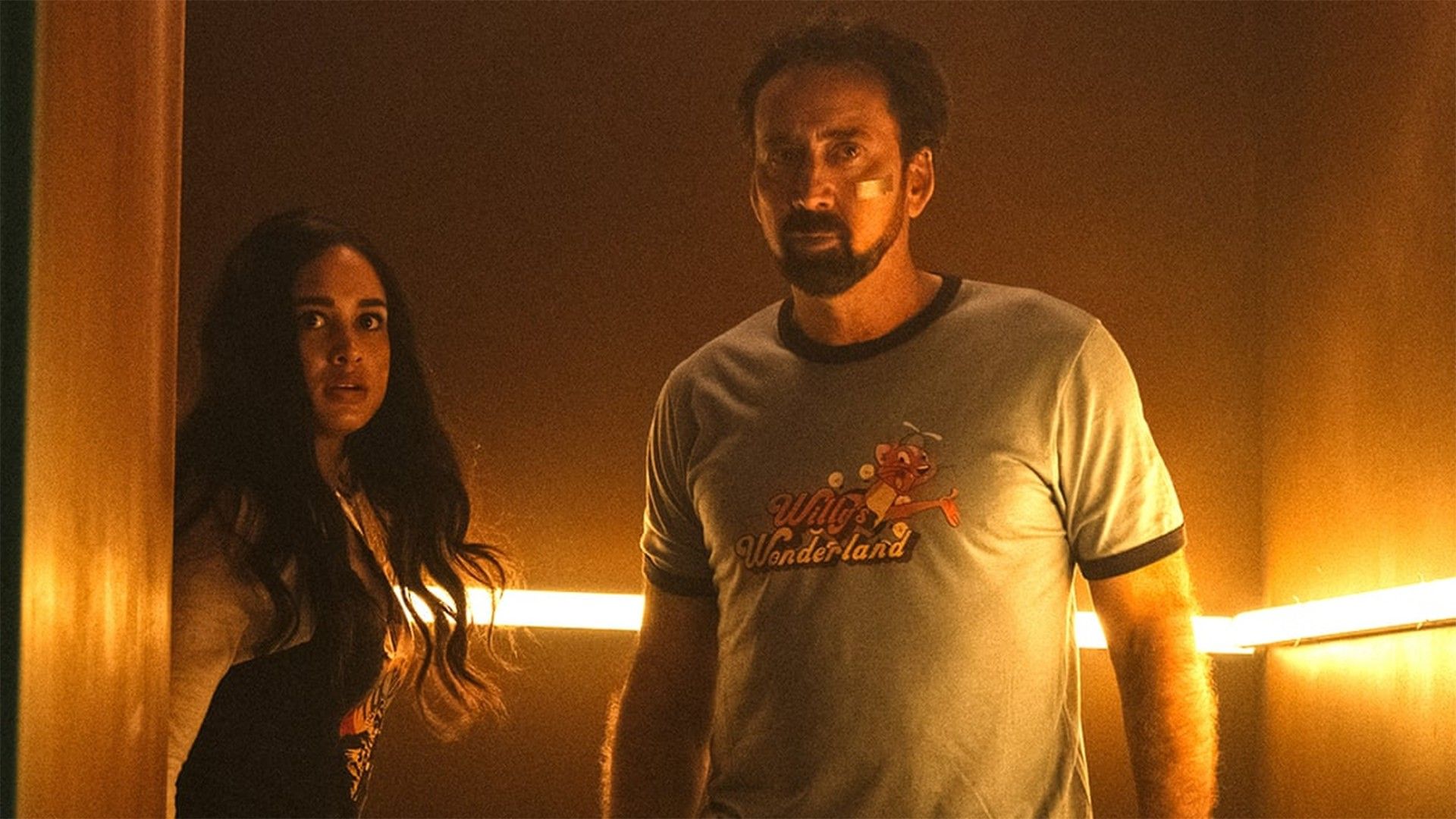 Страна чудес вилли