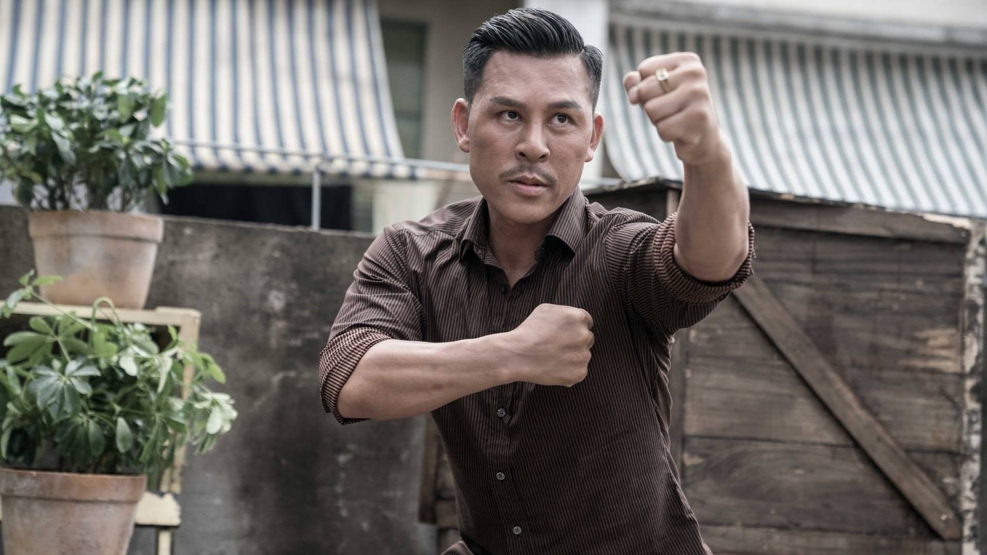 Мастер Z: Наследие Ип Мана