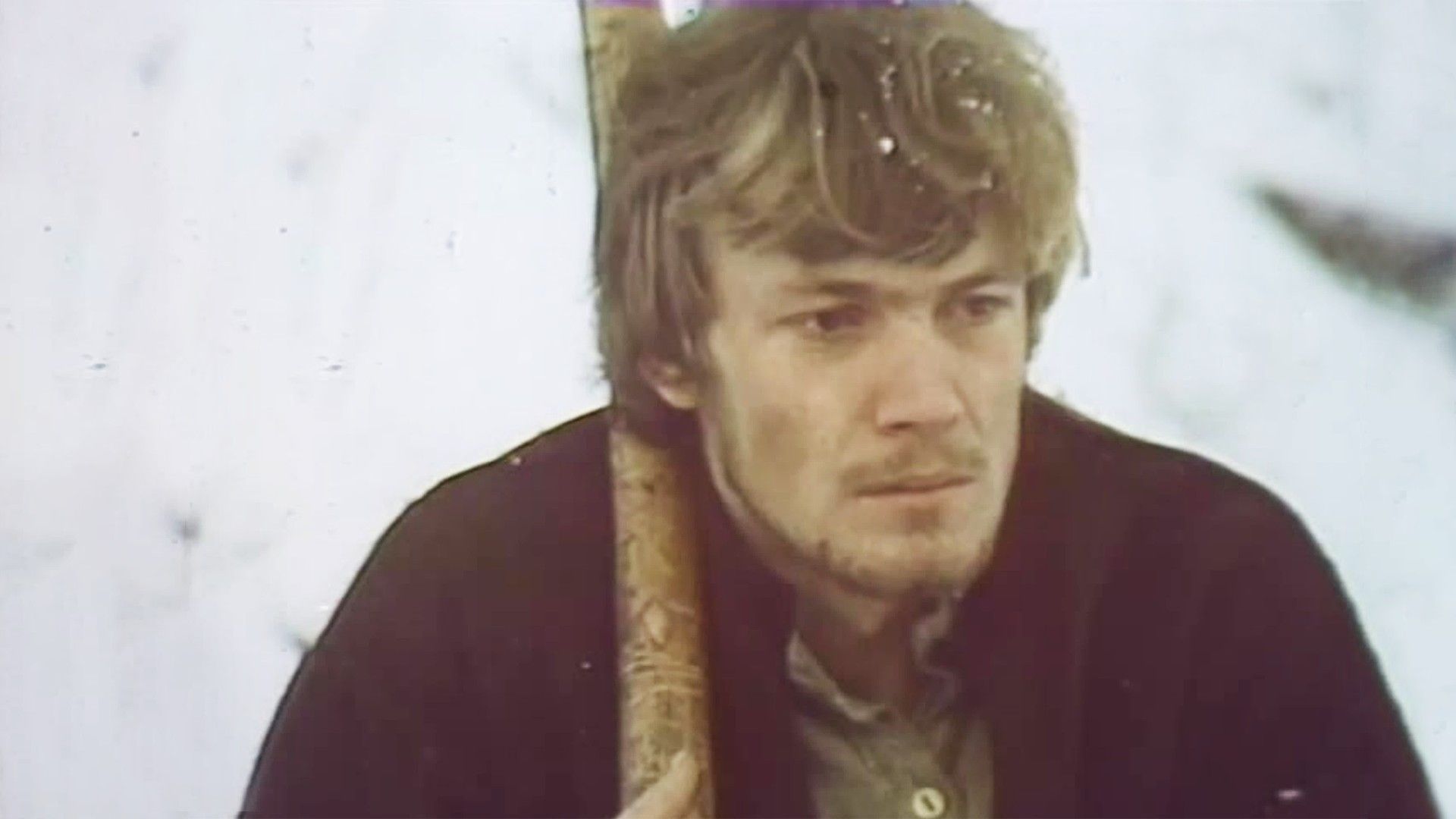 Раскиданное гнездо