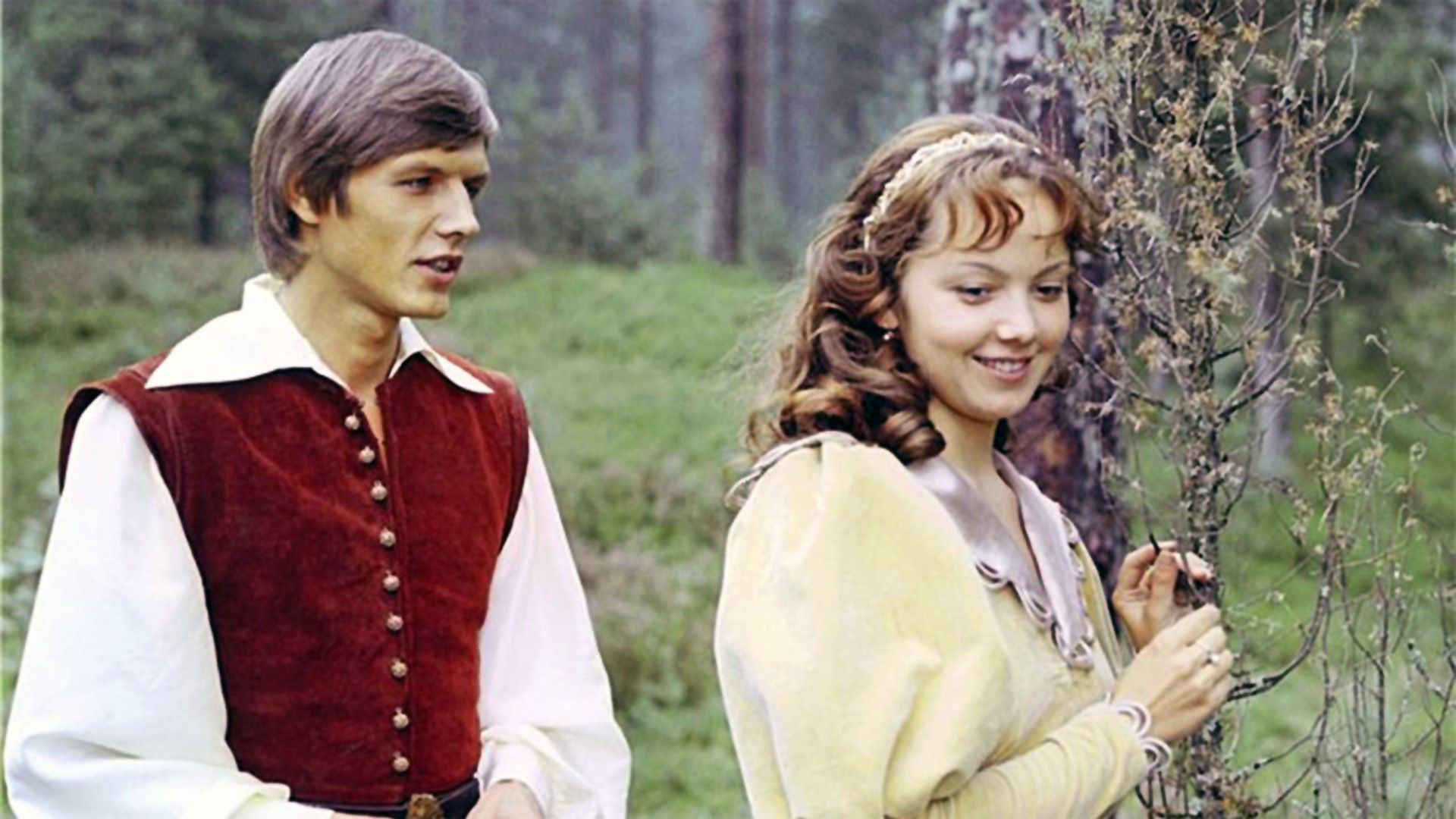 Ослиная шкура