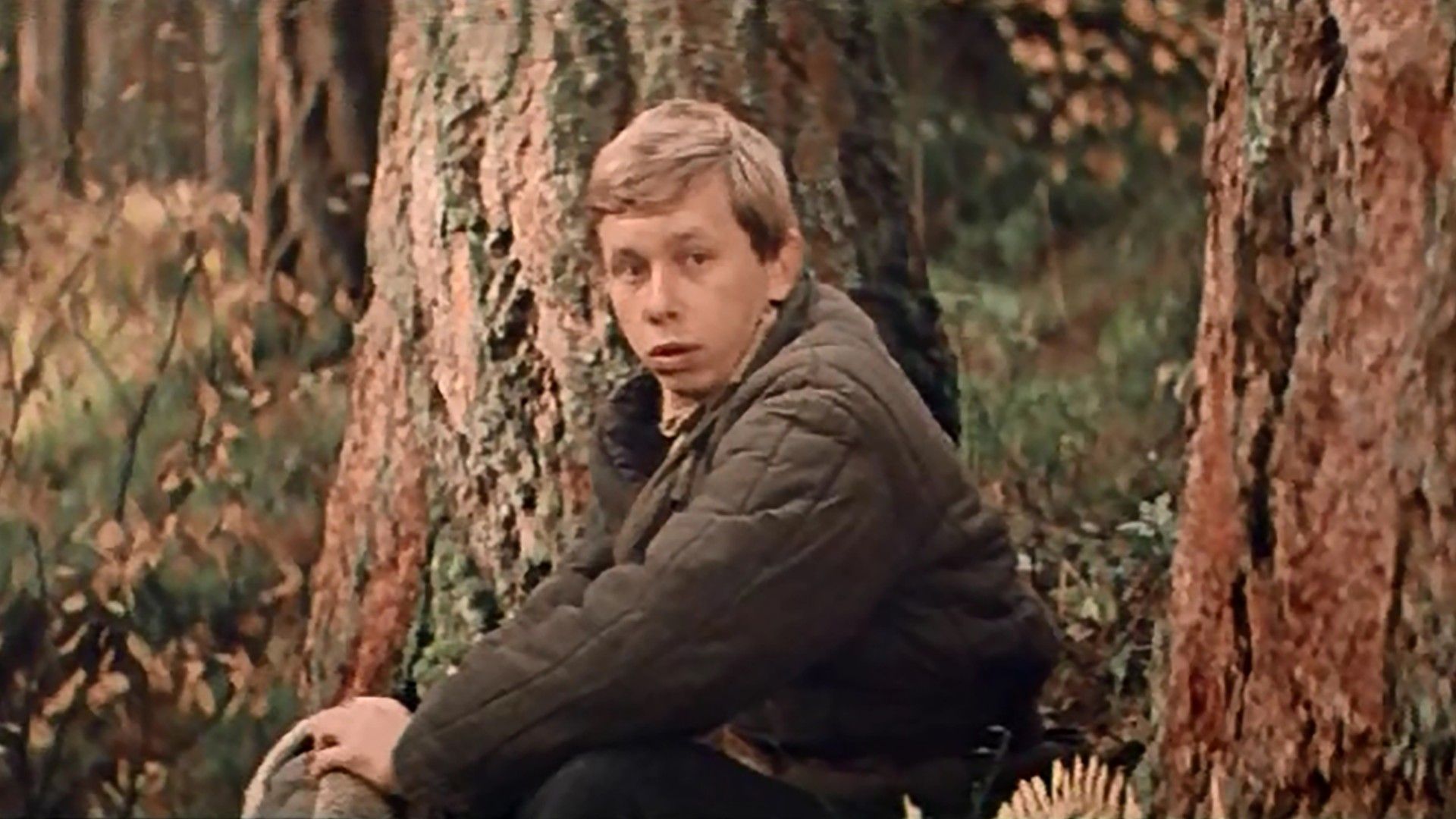 Ветер странствий