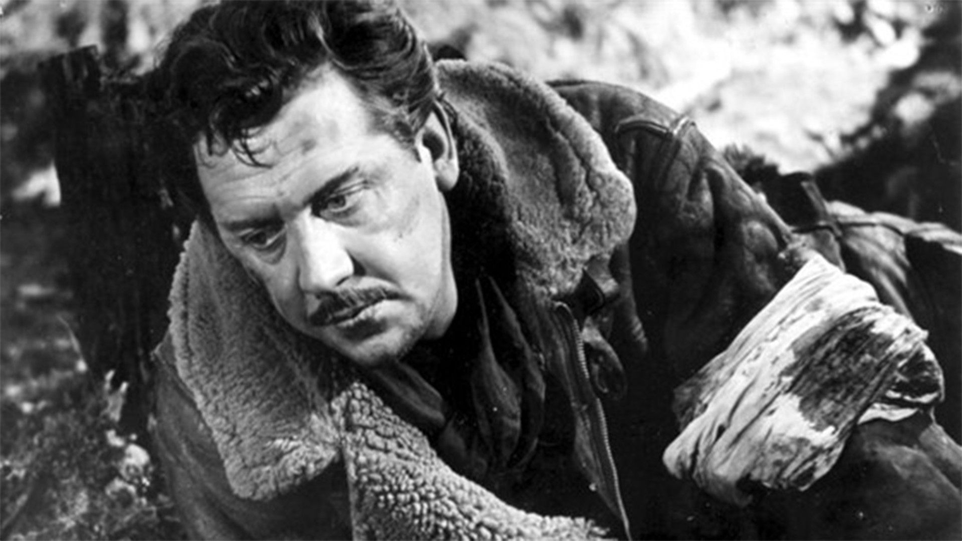 Память сердца