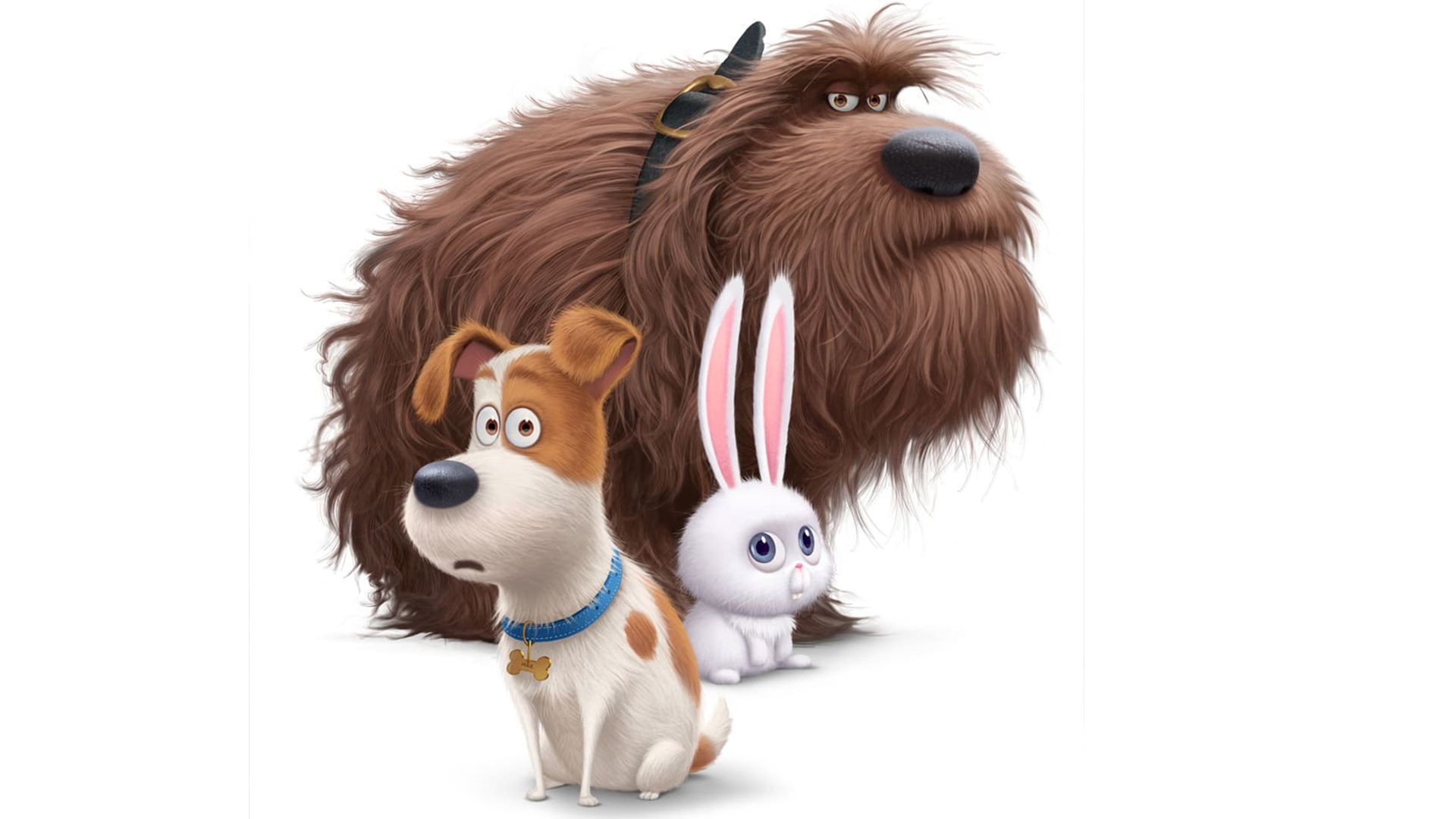 Тайная жизнь домашних животных