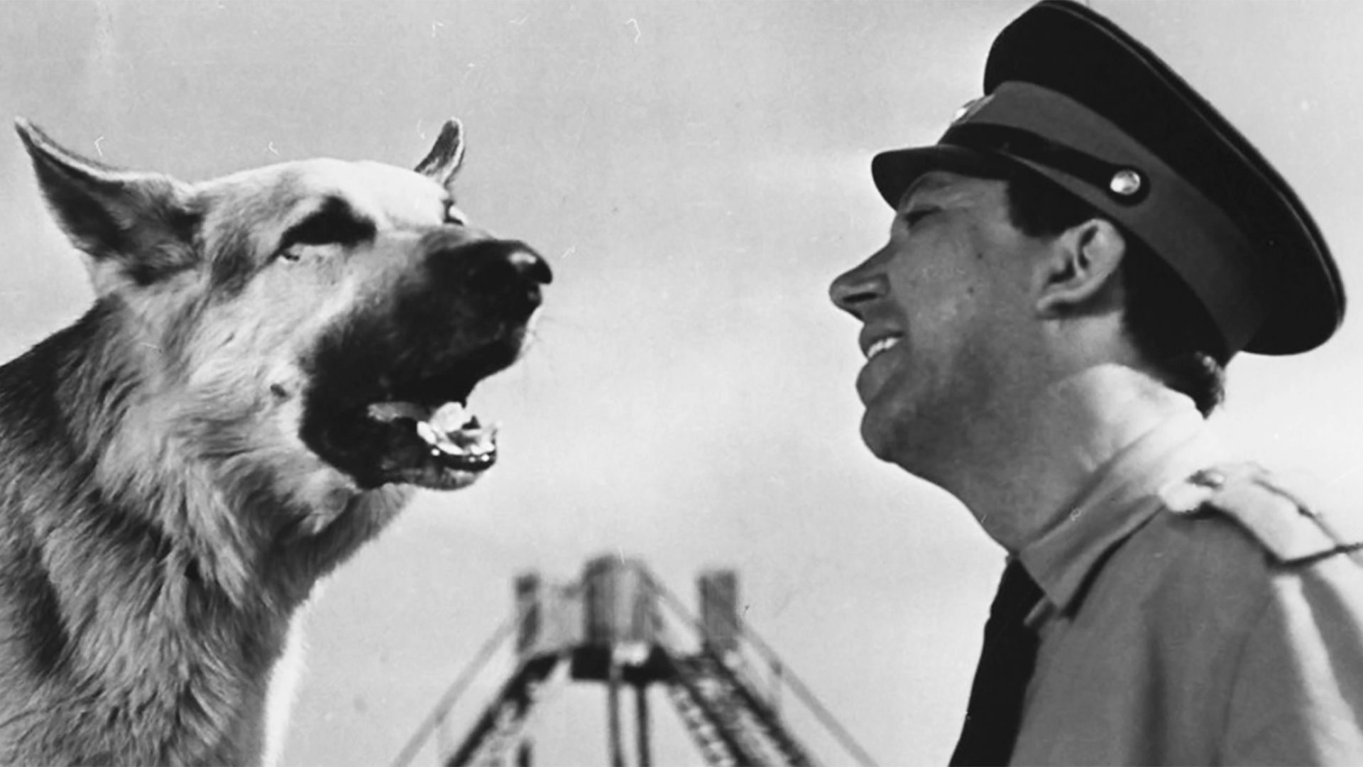 Ко мне, Мухтар!